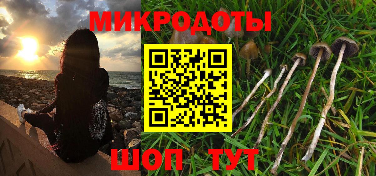 Галлюциногенные грибы прущие грибы  где можно купить наркотик  Киреевск  Вход с VPN 
